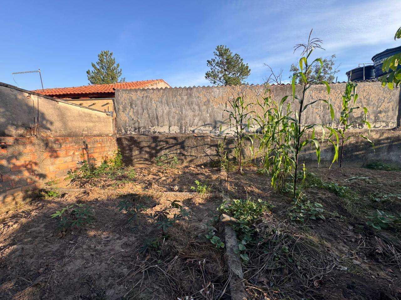 Terreno, 200 m² - Foto 4