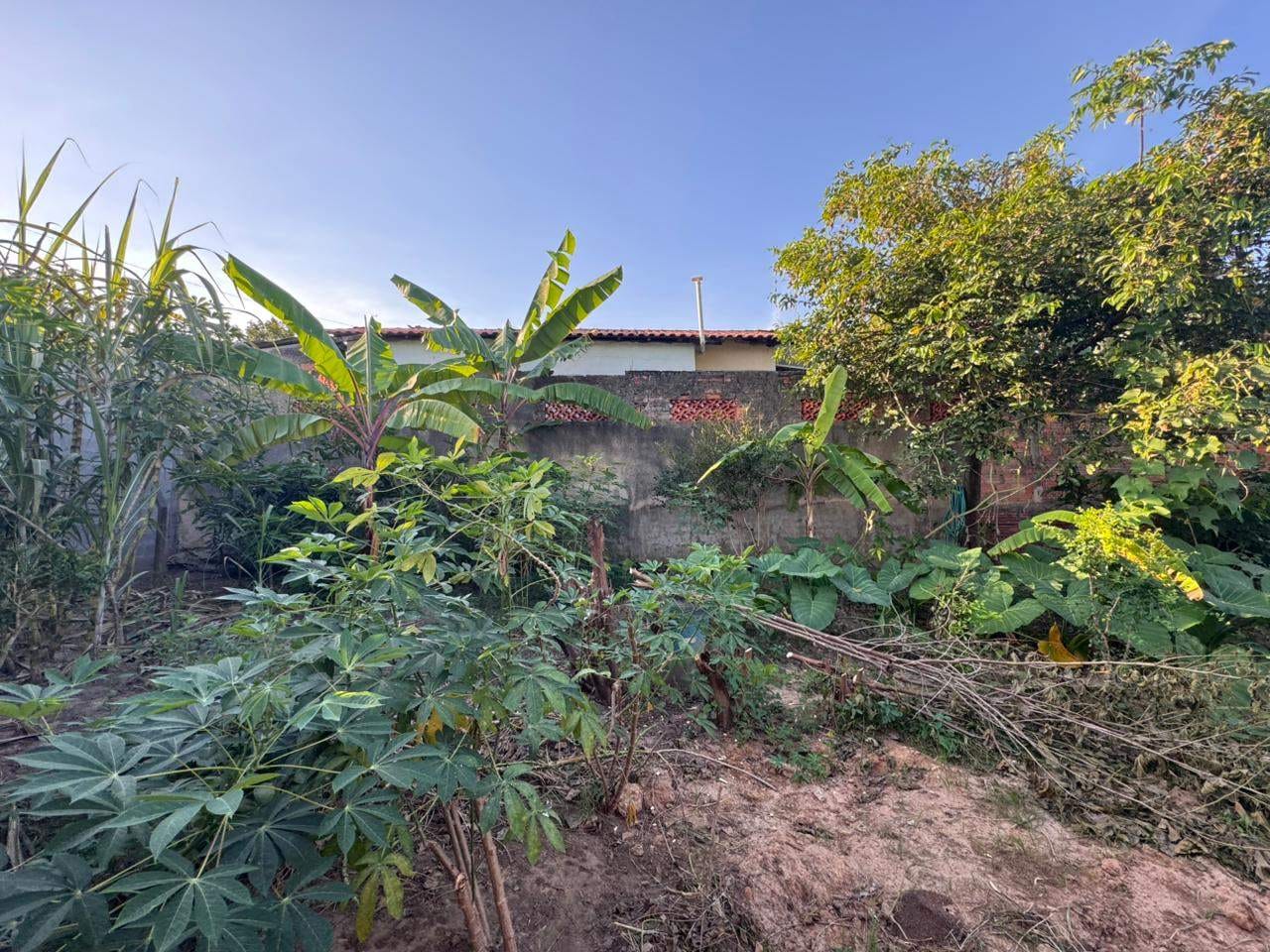 Terreno, 200 m² - Foto 6