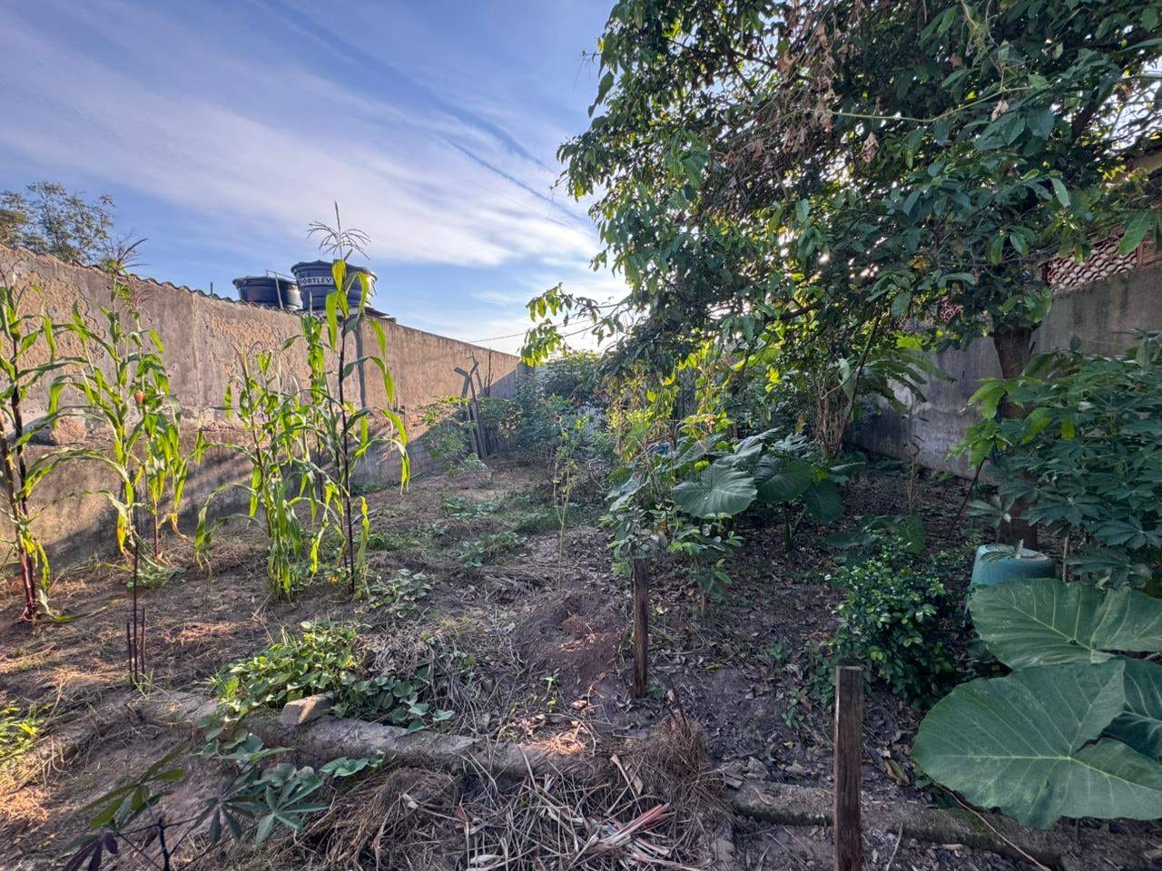 Terreno, 200 m² - Foto 8