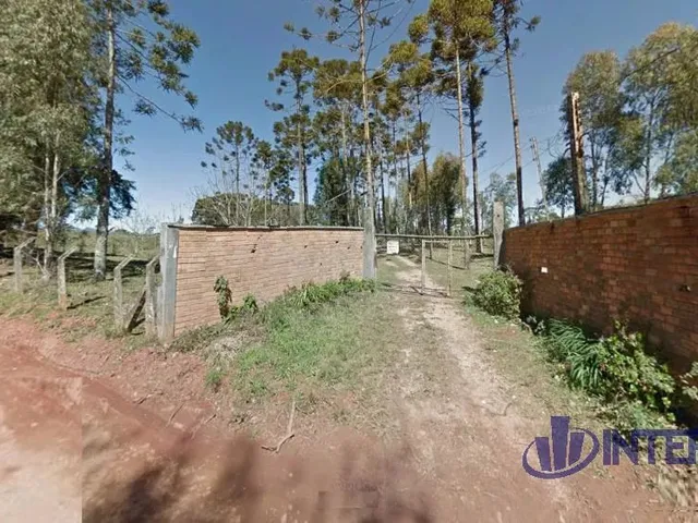 Terreno à venda, no bairro Borda Do Campo em São José Dos Pinhais