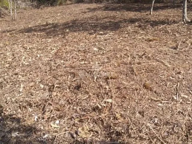 Terreno com 424m², à venda, no bairro Albuquerque em Teresópolis