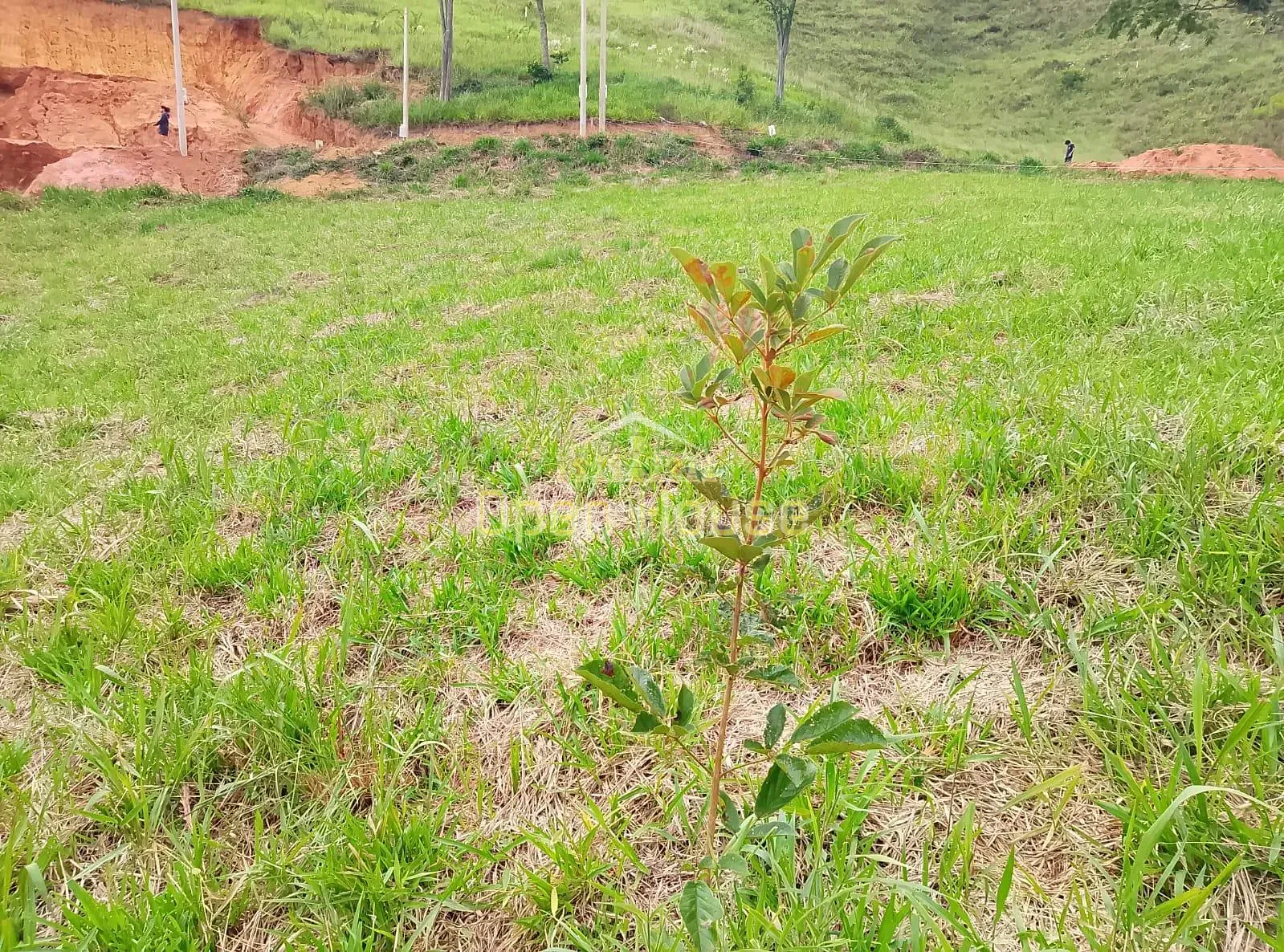 Terreno, 400 m² - Foto 1