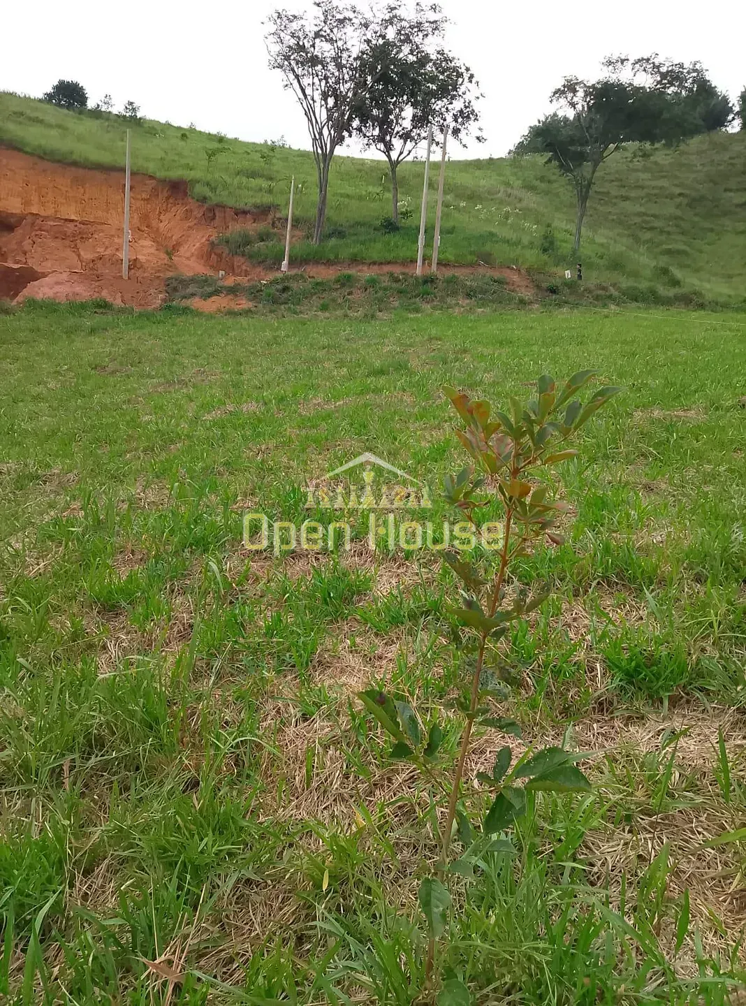 Terreno, 400 m² - Foto 6