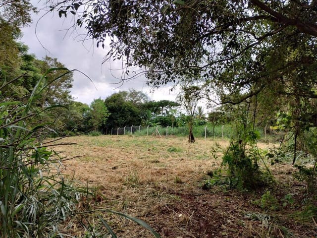 Foto do Terreno - Condomínio Chácaras Itaúna  - Terreno à venda com 5.053 m² por R$ 400.000,00 -  Estrada dos Pioneiros - Ibiporã, PR | Premier Imóveis