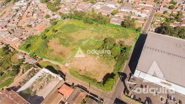 Terreno, 2 hectares - Foto 3