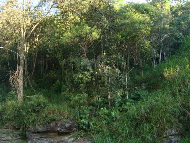 Terreno à venda, no bairro São Sebastião em Petrópolis