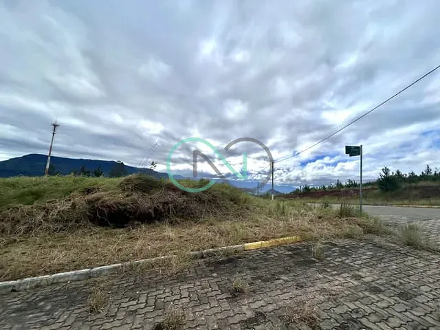 Terreno com 379m², à venda, no bairro RS239 em Araricá