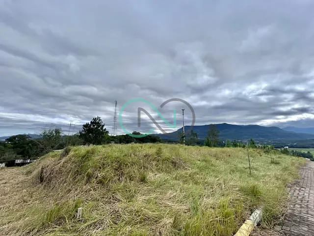 Terreno com 379m², à venda, no bairro RS239 em Araricá