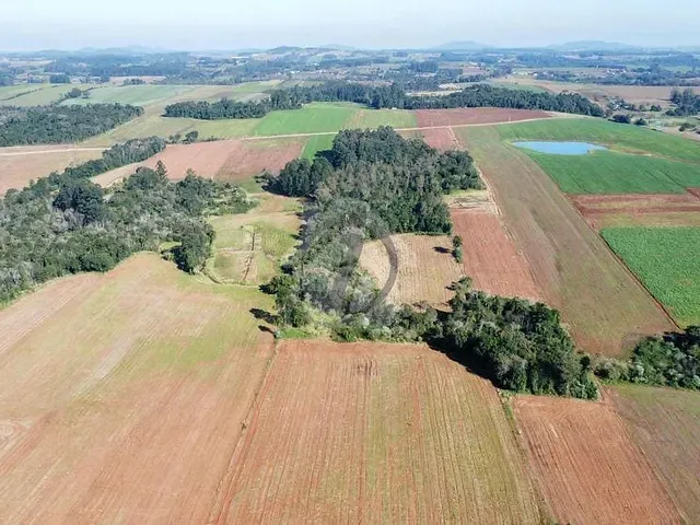 Terreno com 65000m², à venda, no bairro São Jacó em Teutônia