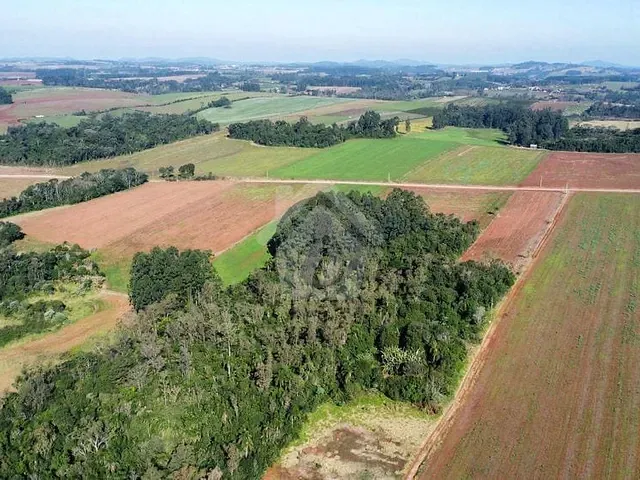 Terreno com 65000m², à venda, no bairro São Jacó em Teutônia
