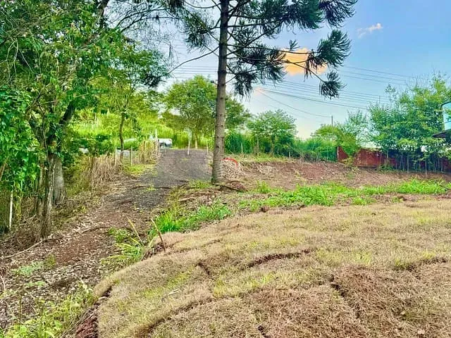 Terreno com 10000m², à venda, no bairro Zona Rural em Ibiporã
