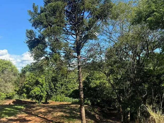 Terreno com 10000m², à venda, no bairro Zona Rural em Ibiporã