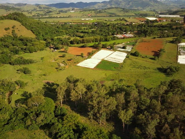 Terreno com 70000m², à venda, no bairro Rio do Peixe em Cambuí