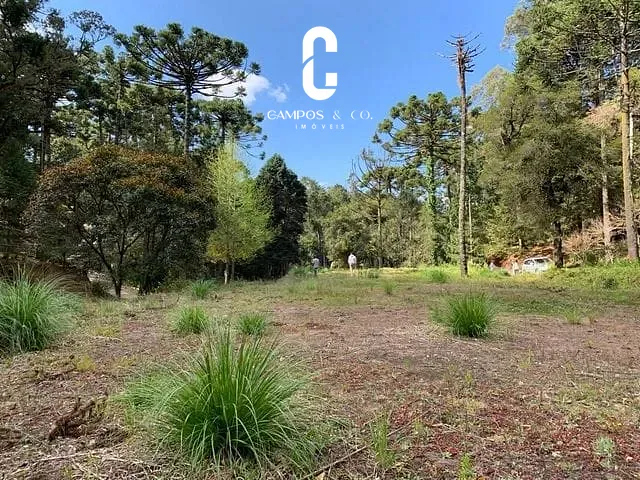 Terreno com 2150m², à venda, no bairro Vila Simonsen em Campos Do Jordão