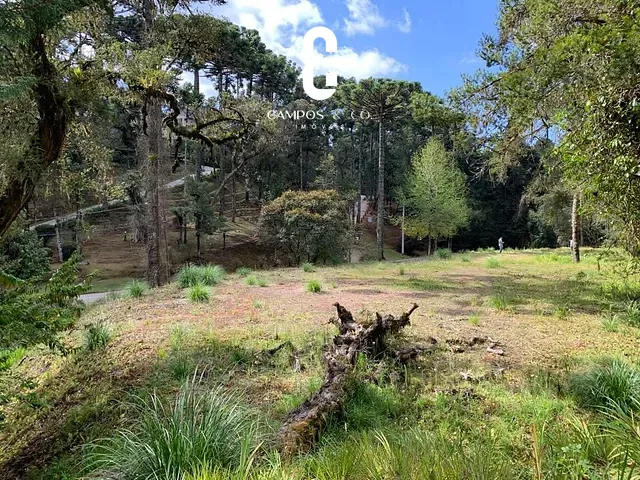 Terreno com 2150m², à venda, no bairro Vila Simonsen em Campos Do Jordão