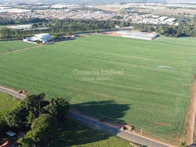 Sítio com 200000m², à venda, no bairro Área Rural de Holambra em Holambra