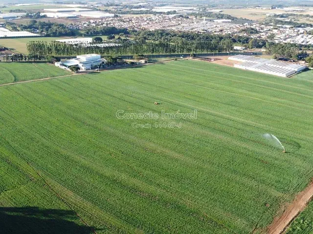 Sítio com 200000m², à venda, no bairro Área Rural de Holambra em Holambra