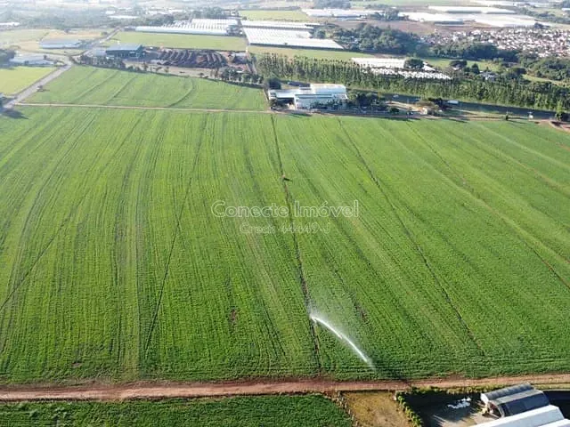 Sítio com 200000m², à venda, no bairro Área Rural de Holambra em Holambra