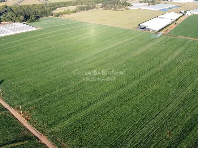 Sítio com 200000m², à venda, no bairro Área Rural de Holambra em Holambra