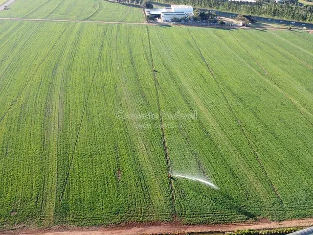 Sítio com 200000m², à venda, no bairro Área Rural de Holambra em Holambra