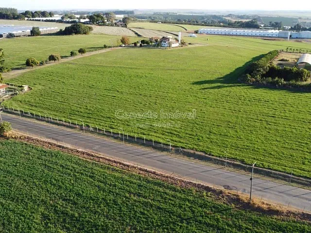 Terreno com 1982m², à venda, no bairro Área Rural de Holambra em Holambra