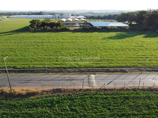 Terreno com 1982m², à venda, no bairro Área Rural de Holambra em Holambra