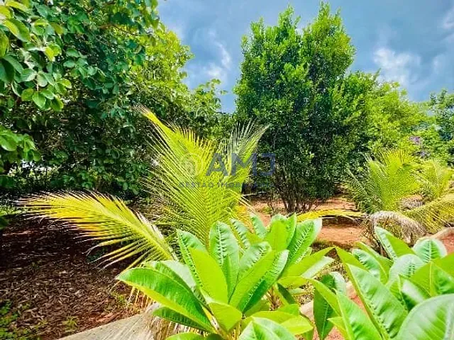 Terreno com 5006m², à venda, no bairro Condomínio Alto da Boa Vista em Senador Canedo