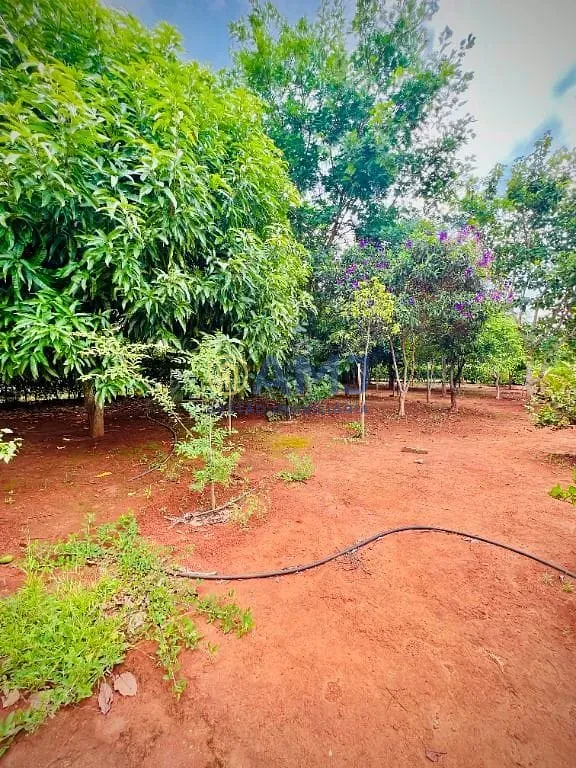 Terreno, 5006 m² - Foto 5