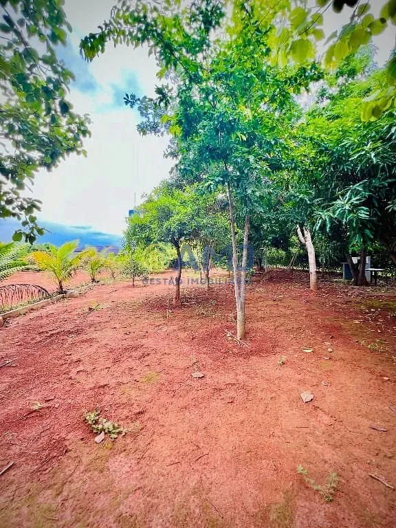 Terreno, 5006 m² - Foto 6