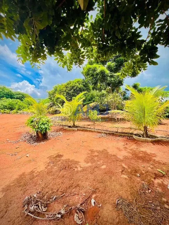 Terreno, 5006 m² - Foto 9