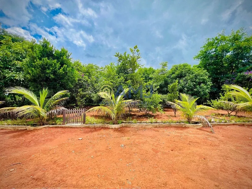 Terreno, 5006 m² - Foto 2