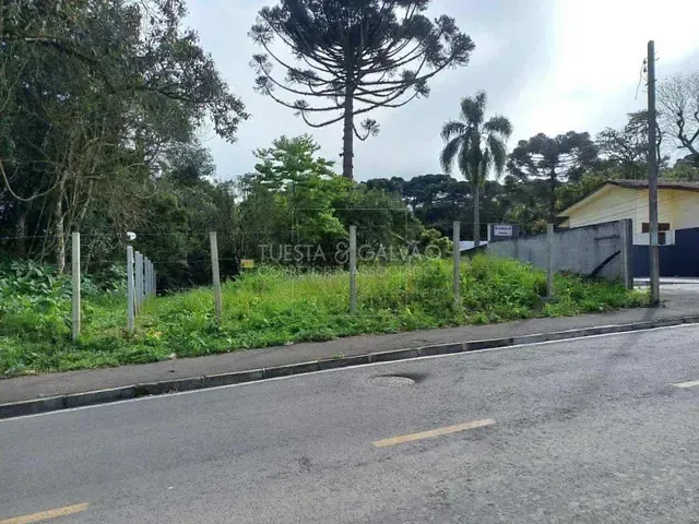 Terreno com 480m², à venda, no bairro Planta Meireles em Piraquara
