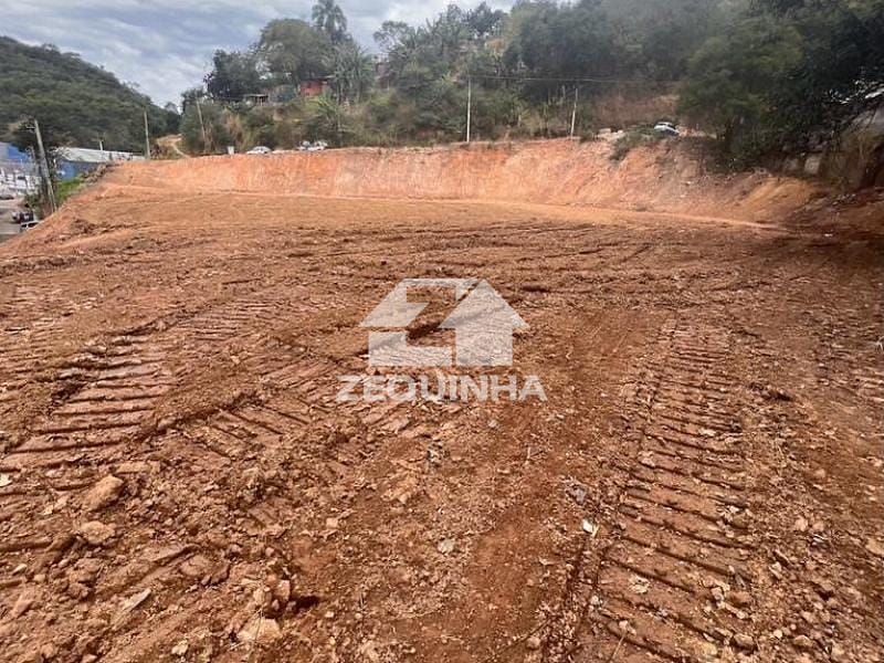 Terreno, 2 hectares - Foto 4