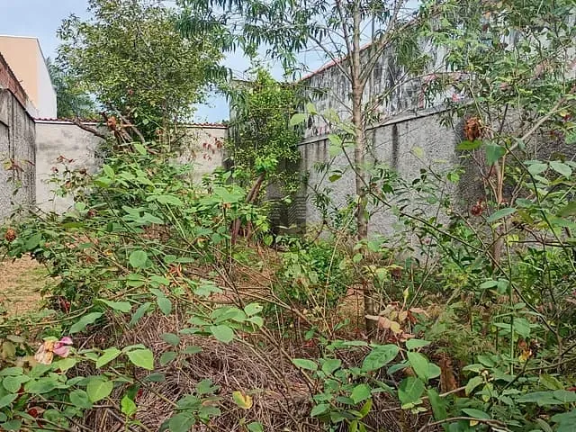 Terreno com 175m², à venda, no bairro Santa Terezinha em Aparecida