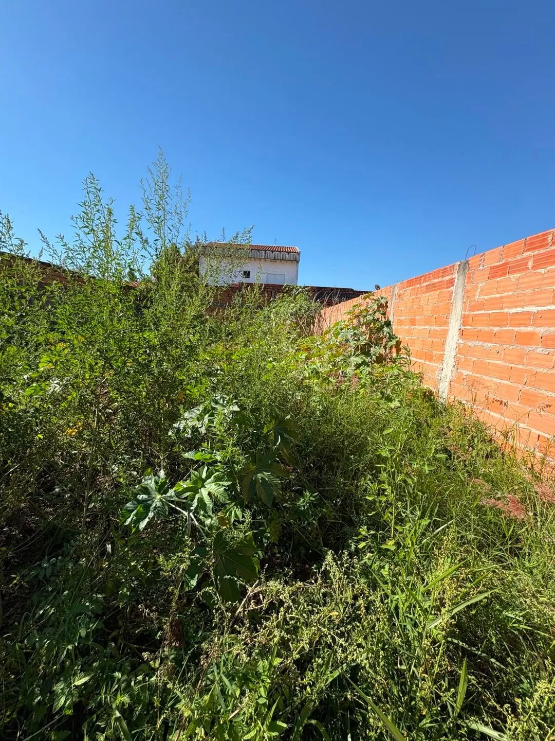 Terreno, 200 m² - Foto 6