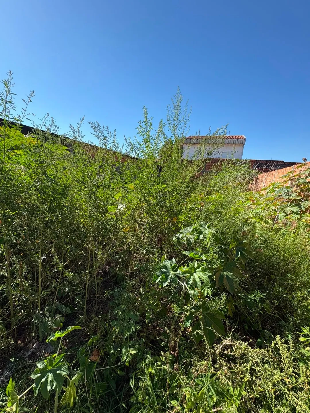 Terreno, 200 m² - Foto 7