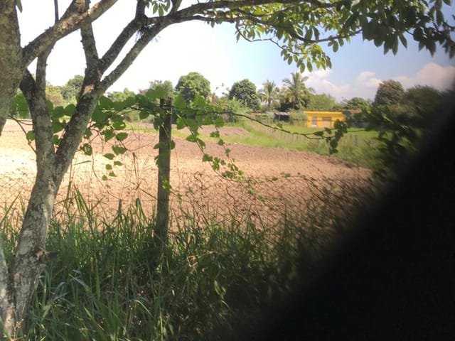 Terreno com 2000m², à venda, no bairro Pedro Leme em Roseira
