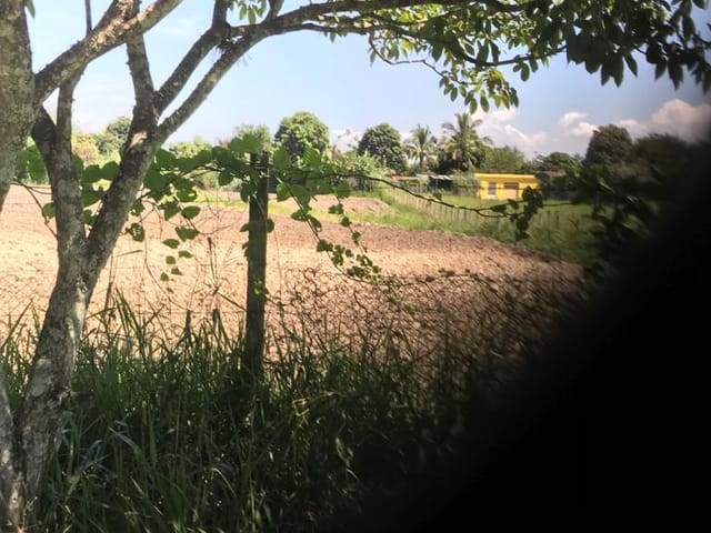Terreno com 2000m², à venda, no bairro Pedro Leme em Roseira