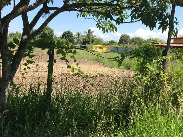 Terreno com 2000m², à venda, no bairro Pedro Leme em Roseira