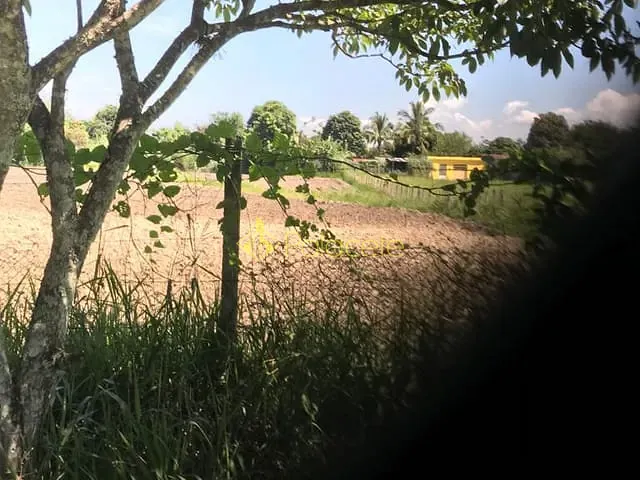Terreno com 2000m², à venda, no bairro Pedro Leme em Roseira