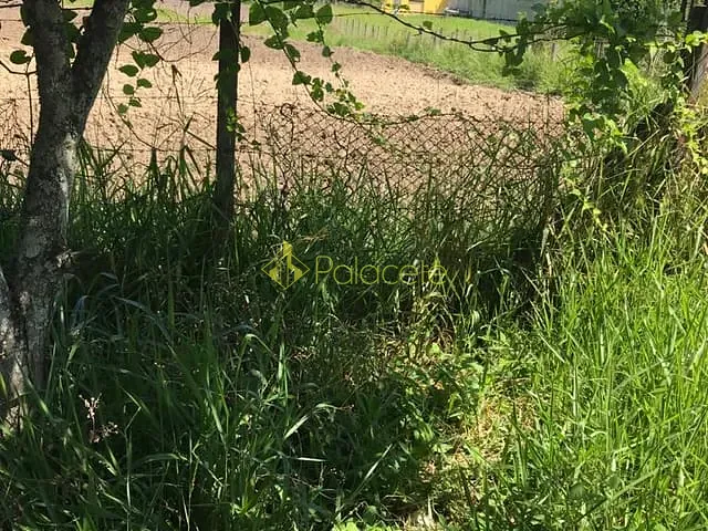 Terreno com 2000m², à venda, no bairro Pedro Leme em Roseira