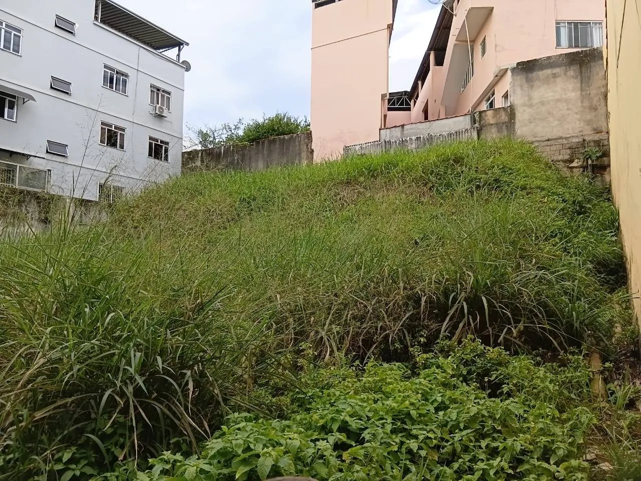 Terreno à venda, Centro, Rio Pomba, MG - foto 7
