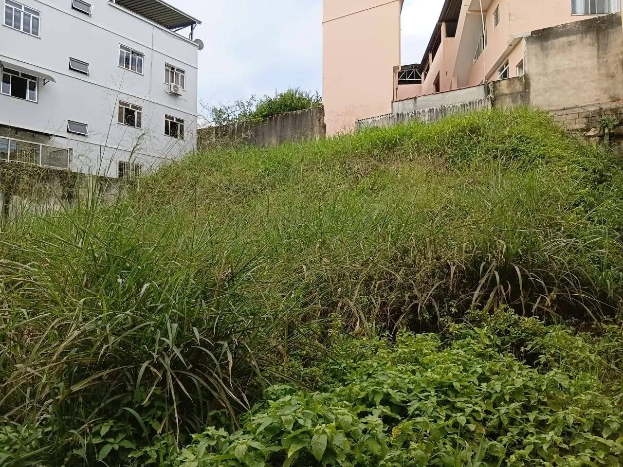 Terreno à venda, Centro, Rio Pomba, MG - foto 8