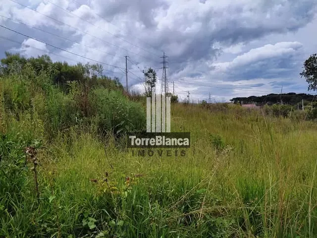 Terreno com 301m², à venda, no bairro Cará-Cará em Ponta Grossa