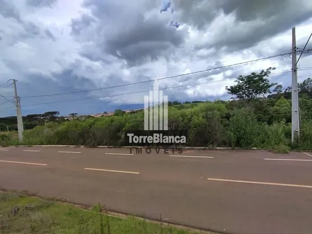Terreno com 301m², à venda, no bairro Cará-Cará em Ponta Grossa