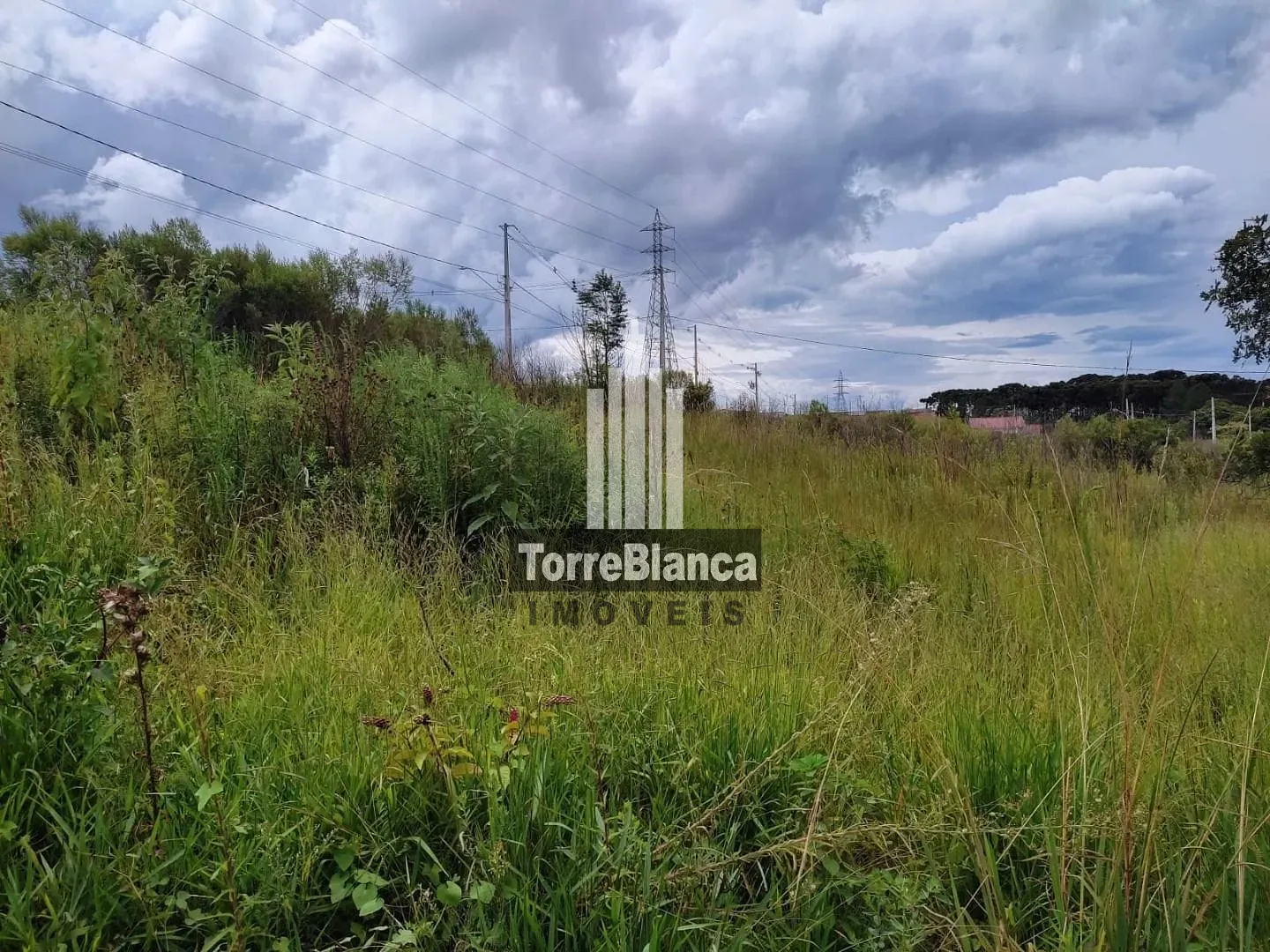 Terreno, 300 m² - Foto 5