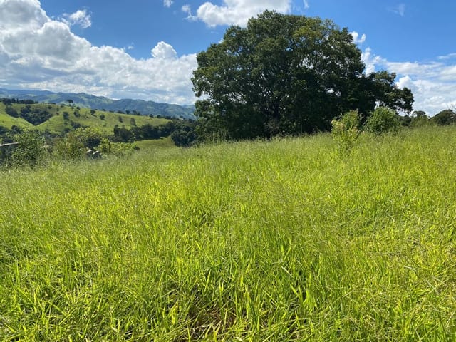 Terreno com 850m², à venda, no bairro Capela em Cambuí