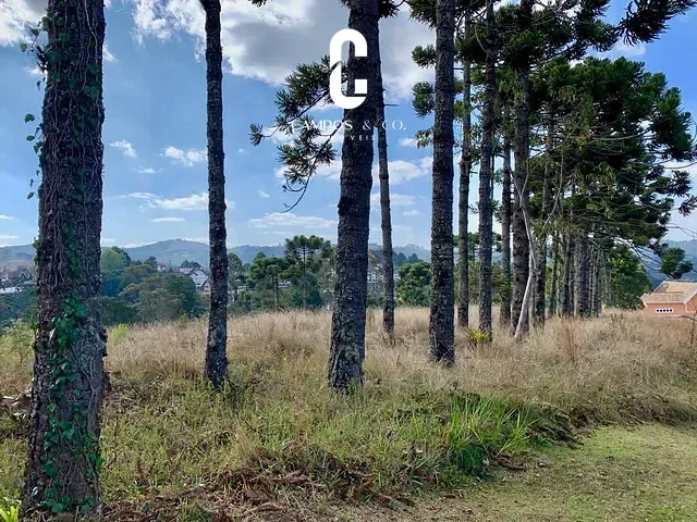 Terreno com 8860m², à venda, no bairro Capivari em Campos Do Jordão