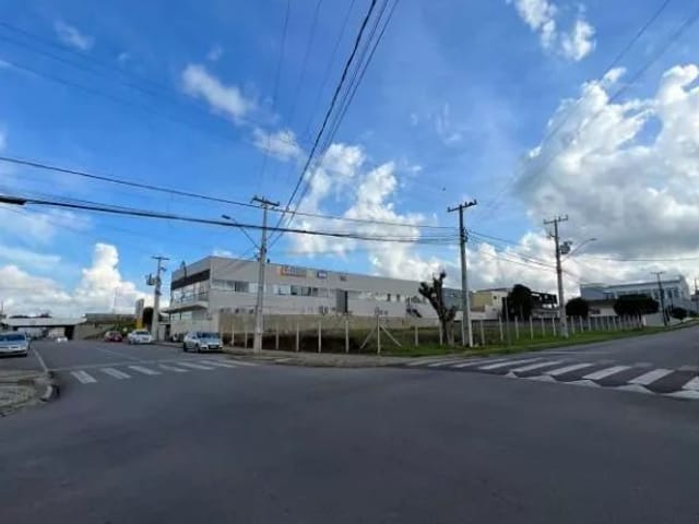 Terreno para alugar, no bairro Jardim Paulista em Campina Grande Do Sul