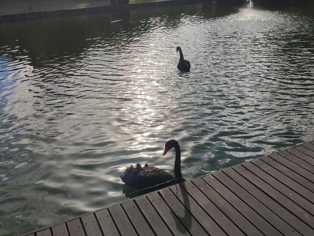 Foto do Terreno - Terreno à venda, 2084 m² por R$ 990.000,00 - São Gabriel - Colombo/PR | Padrone Imóveis